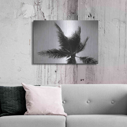 Luxe Metal Art 'Palm Tree Looking Up IV' by Debra Van Swearingen, Metal Wall Art,36x24