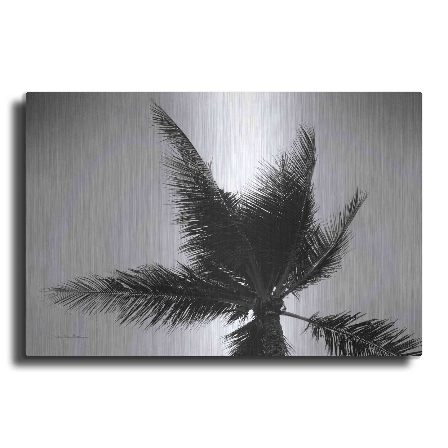 Luxe Metal Art 'Palm Tree Looking Up IV' by Debra Van Swearingen, Metal Wall Art