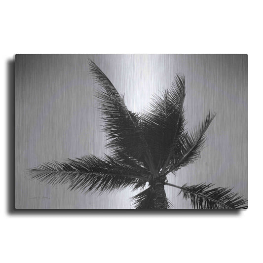 Luxe Metal Art 'Palm Tree Looking Up IV' by Debra Van Swearingen, Metal Wall Art