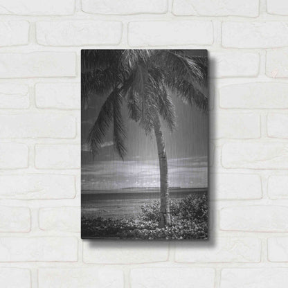Luxe Metal Art 'Ocean View' by Debra Van Swearingen, Metal Wall Art,12x16