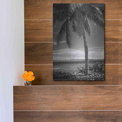 Luxe Metal Art 'Ocean View' by Debra Van Swearingen, Metal Wall Art,12x16