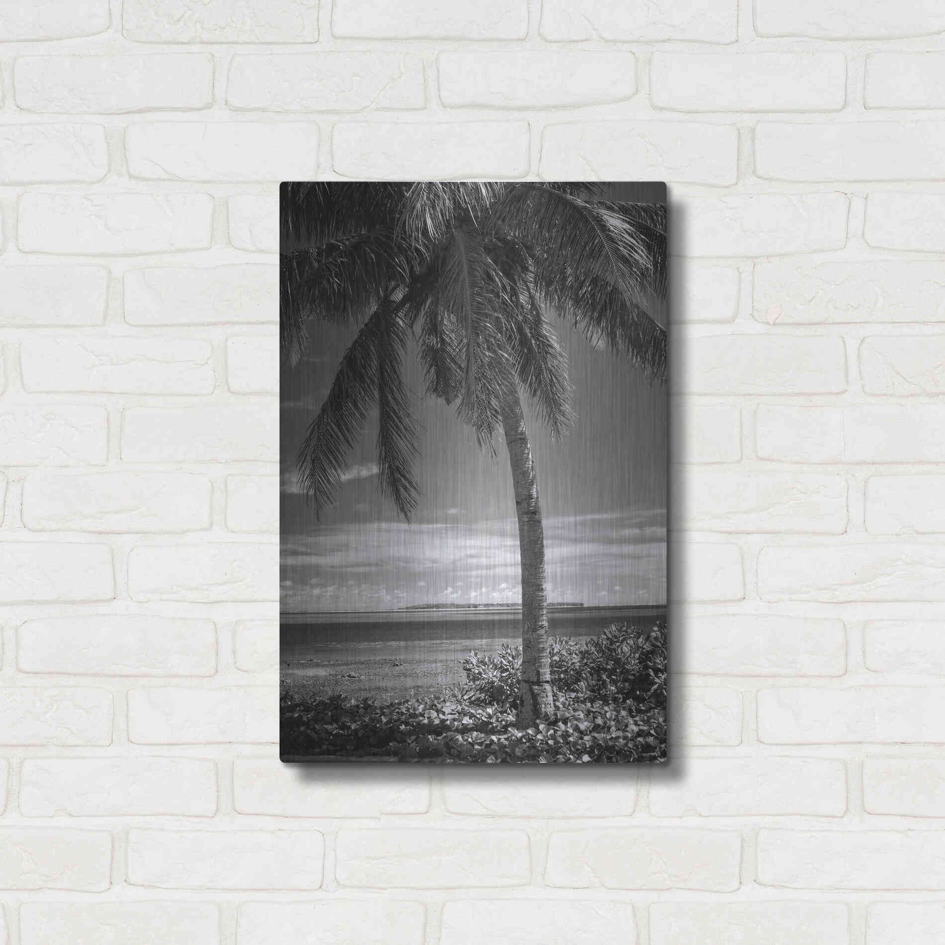 Luxe Metal Art 'Ocean View' by Debra Van Swearingen, Metal Wall Art,16x24