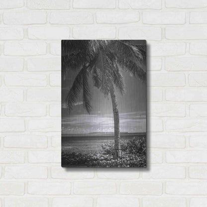 Luxe Metal Art 'Ocean View' by Debra Van Swearingen, Metal Wall Art,16x24
