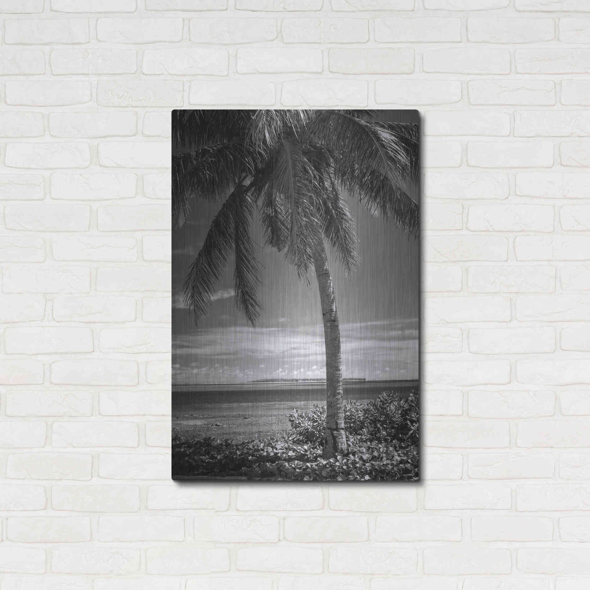 Luxe Metal Art 'Ocean View' by Debra Van Swearingen, Metal Wall Art,24x36