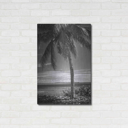 Luxe Metal Art 'Ocean View' by Debra Van Swearingen, Metal Wall Art,24x36