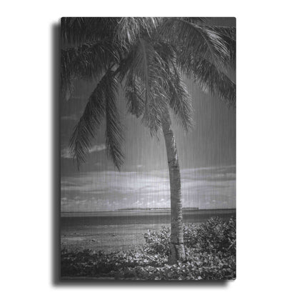 Luxe Metal Art 'Ocean View' by Debra Van Swearingen, Metal Wall Art