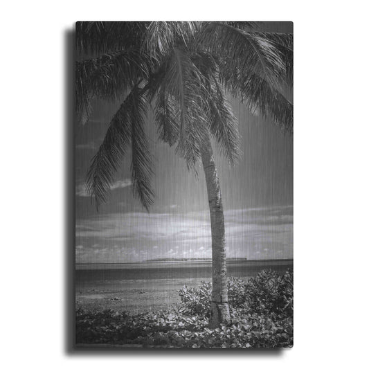 Luxe Metal Art 'Ocean View' by Debra Van Swearingen, Metal Wall Art