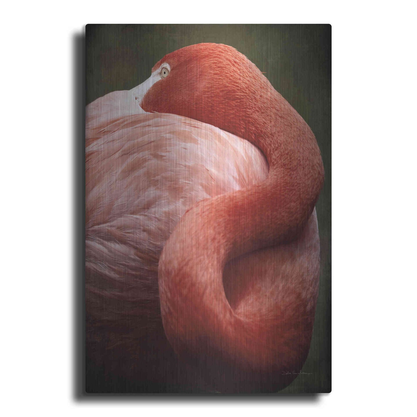 Luxe Metal Art 'Caribbean Flamingo I' by Debra Van Swearingen, Metal Wall Art