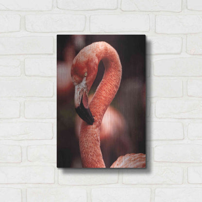 Luxe Metal Art 'Caribbean Flamingo II' by Debra Van Swearingen, Metal Wall Art,12x16