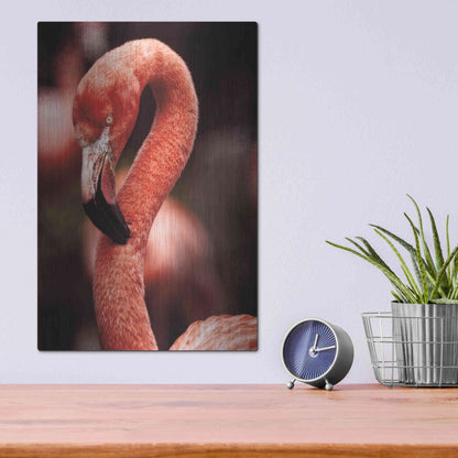 Luxe Metal Art 'Caribbean Flamingo II' by Debra Van Swearingen, Metal Wall Art,12x16