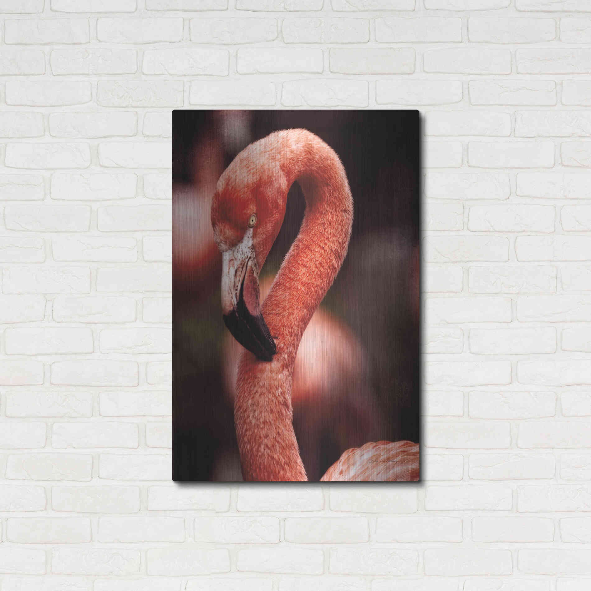 Luxe Metal Art 'Caribbean Flamingo II' by Debra Van Swearingen, Metal Wall Art,24x36