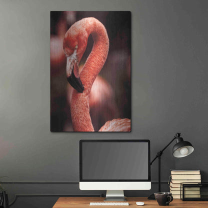 Luxe Metal Art 'Caribbean Flamingo II' by Debra Van Swearingen, Metal Wall Art,24x36