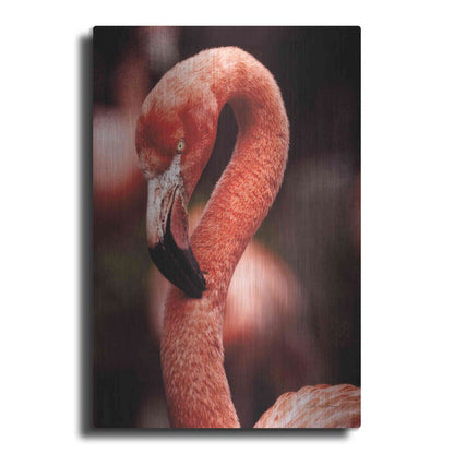 Luxe Metal Art 'Caribbean Flamingo II' by Debra Van Swearingen, Metal Wall Art