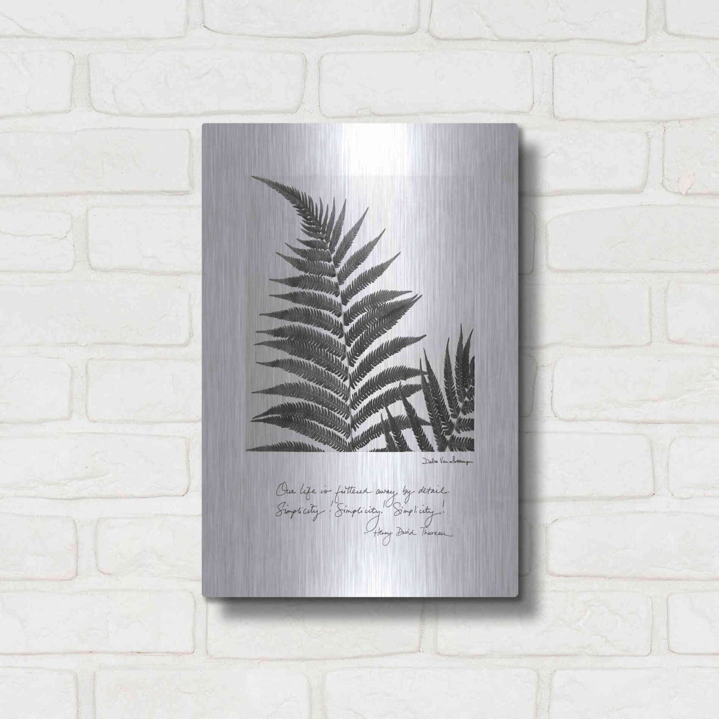 Luxe Metal Art 'Delicate Fern v2' by Debra Van Swearingen, Metal Wall Art,12x16