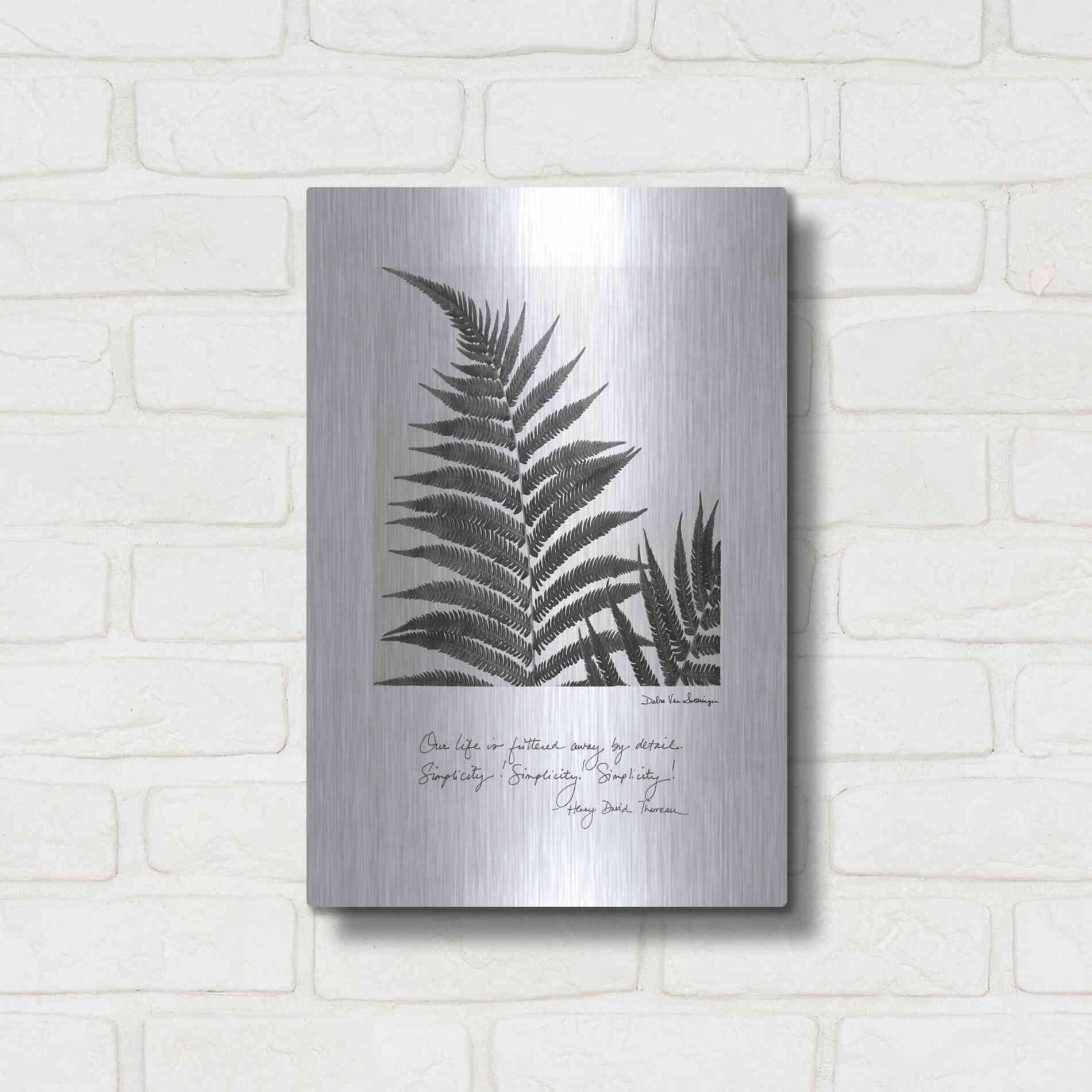 Luxe Metal Art 'Delicate Fern v2' by Debra Van Swearingen, Metal Wall Art,12x16