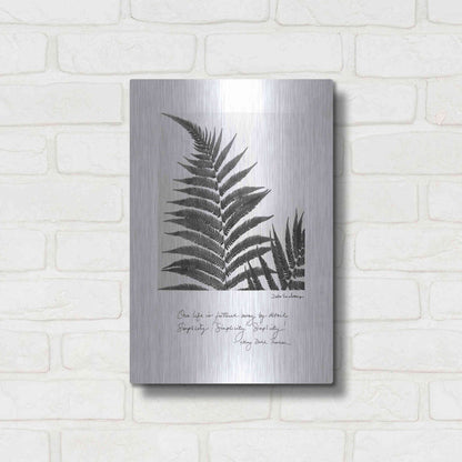Luxe Metal Art 'Delicate Fern v2' by Debra Van Swearingen, Metal Wall Art,12x16