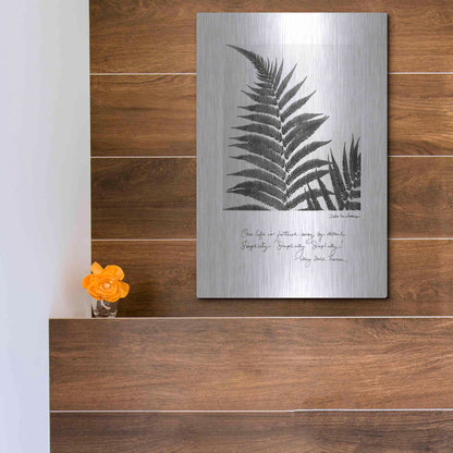 Luxe Metal Art 'Delicate Fern v2' by Debra Van Swearingen, Metal Wall Art,12x16