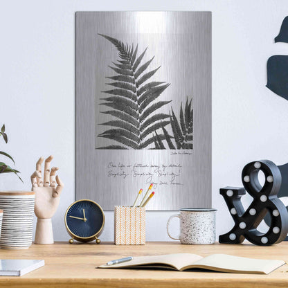 Luxe Metal Art 'Delicate Fern v2' by Debra Van Swearingen, Metal Wall Art,12x16