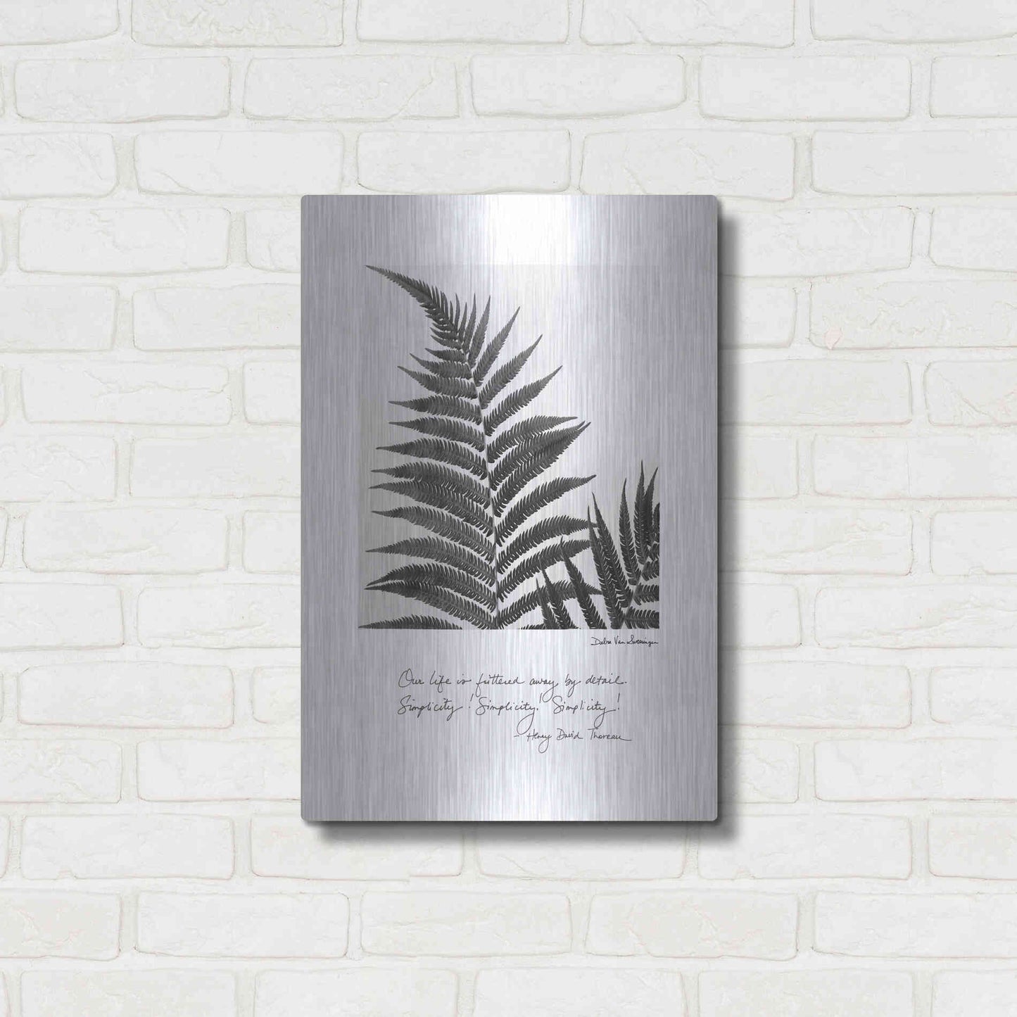 Luxe Metal Art 'Delicate Fern v2' by Debra Van Swearingen, Metal Wall Art,16x24