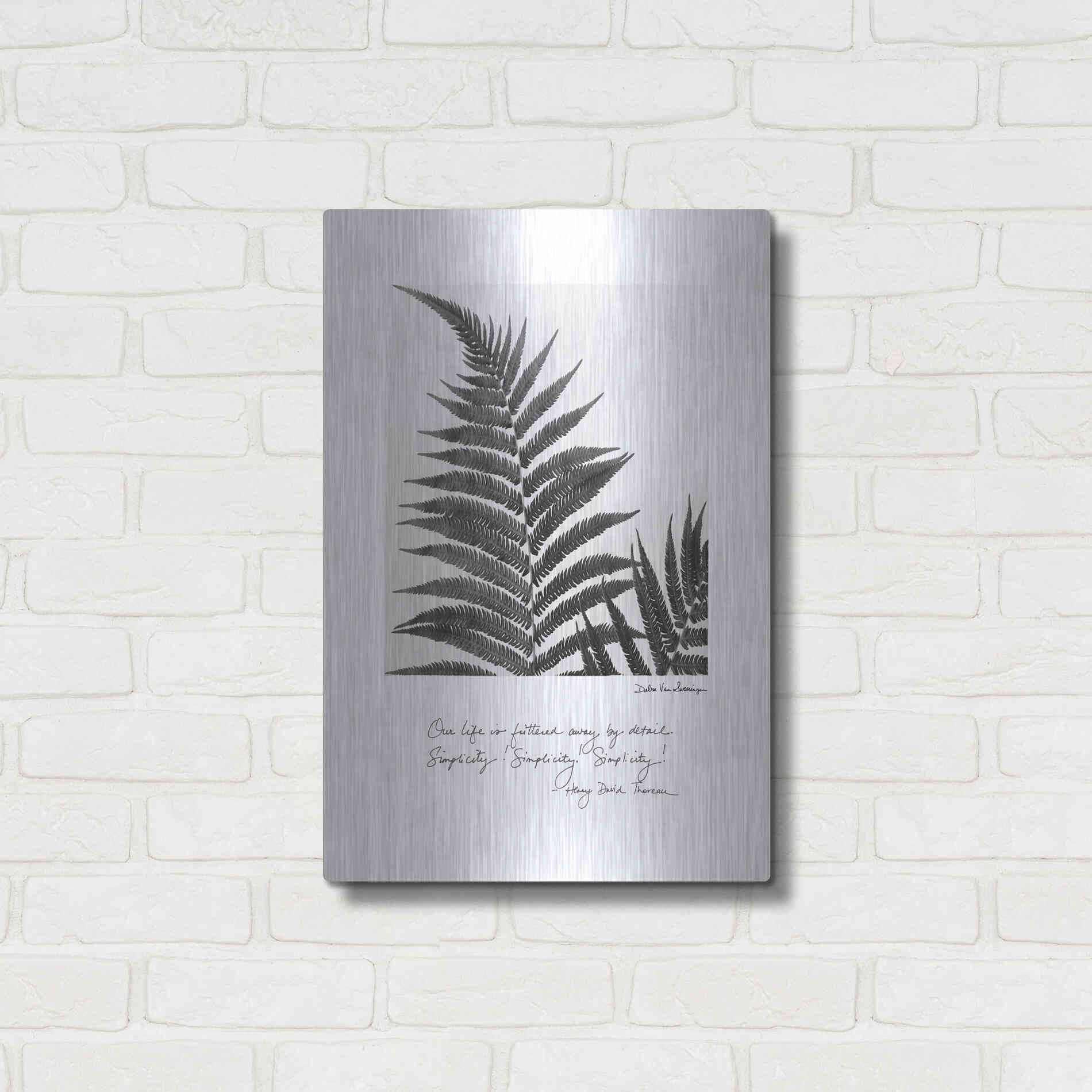 Luxe Metal Art 'Delicate Fern v2' by Debra Van Swearingen, Metal Wall Art,16x24