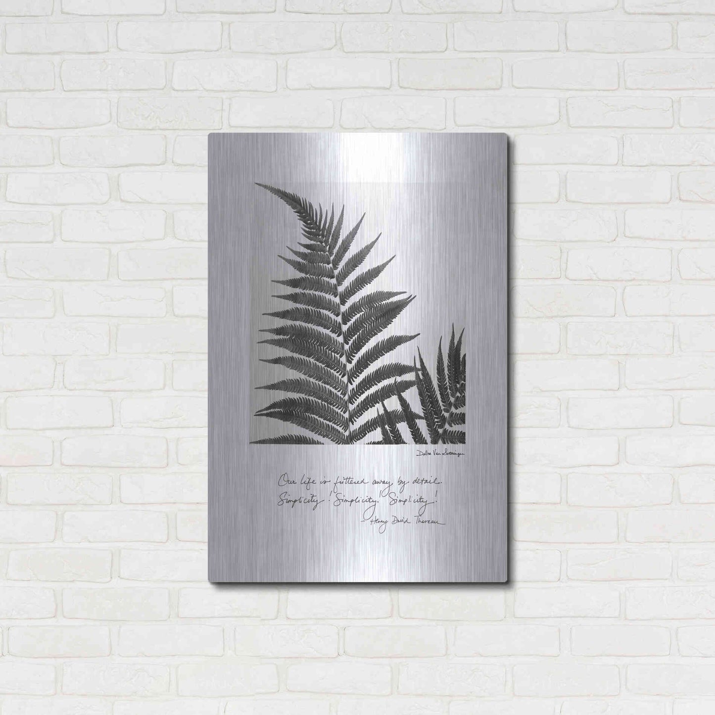 Luxe Metal Art 'Delicate Fern v2' by Debra Van Swearingen, Metal Wall Art,24x36