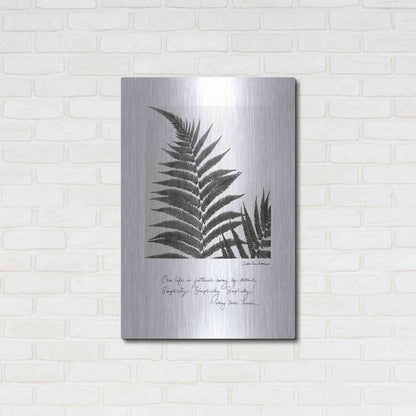 Luxe Metal Art 'Delicate Fern v2' by Debra Van Swearingen, Metal Wall Art,24x36