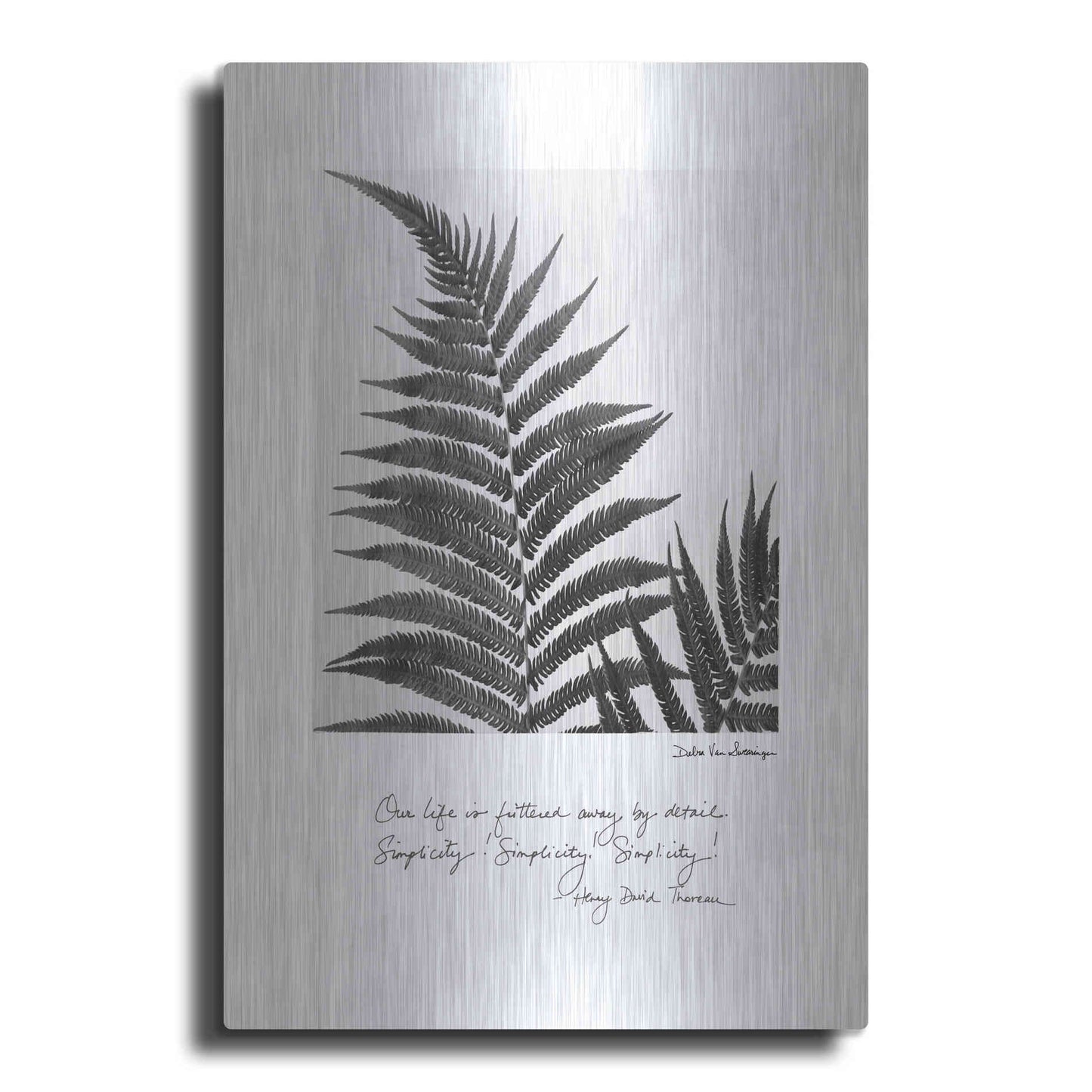 Luxe Metal Art 'Delicate Fern v2' by Debra Van Swearingen, Metal Wall Art