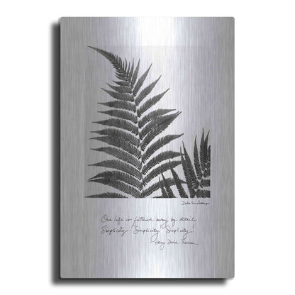 Luxe Metal Art 'Delicate Fern v2' by Debra Van Swearingen, Metal Wall Art
