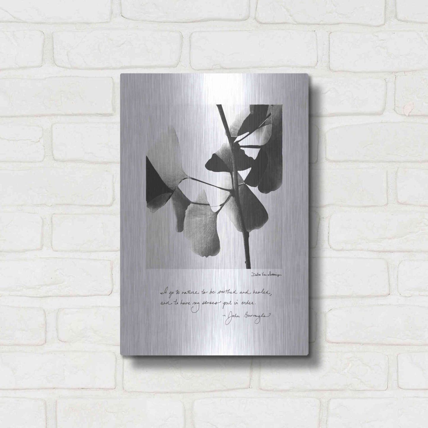 Luxe Metal Art 'Delicate Ginkgo v2' by Debra Van Swearingen, Metal Wall Art,12x16