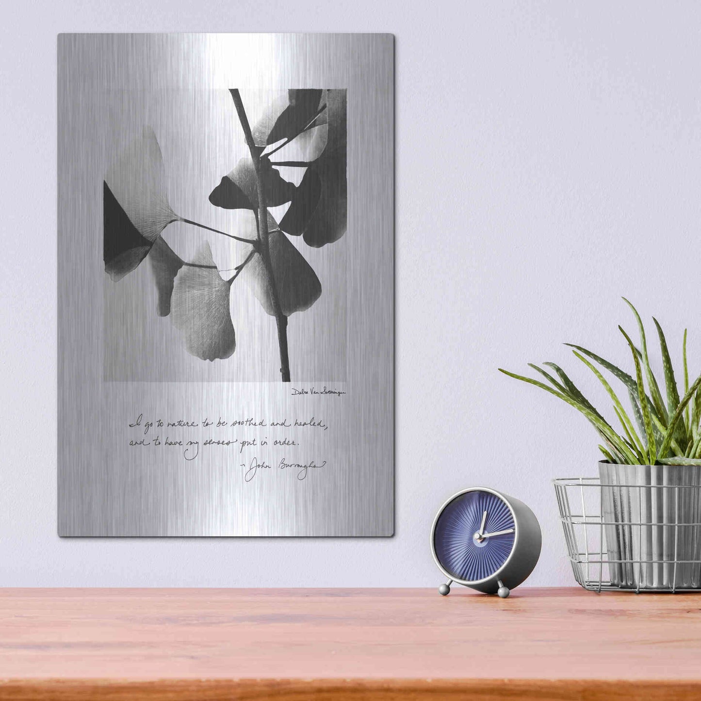 Luxe Metal Art 'Delicate Ginkgo v2' by Debra Van Swearingen, Metal Wall Art,12x16