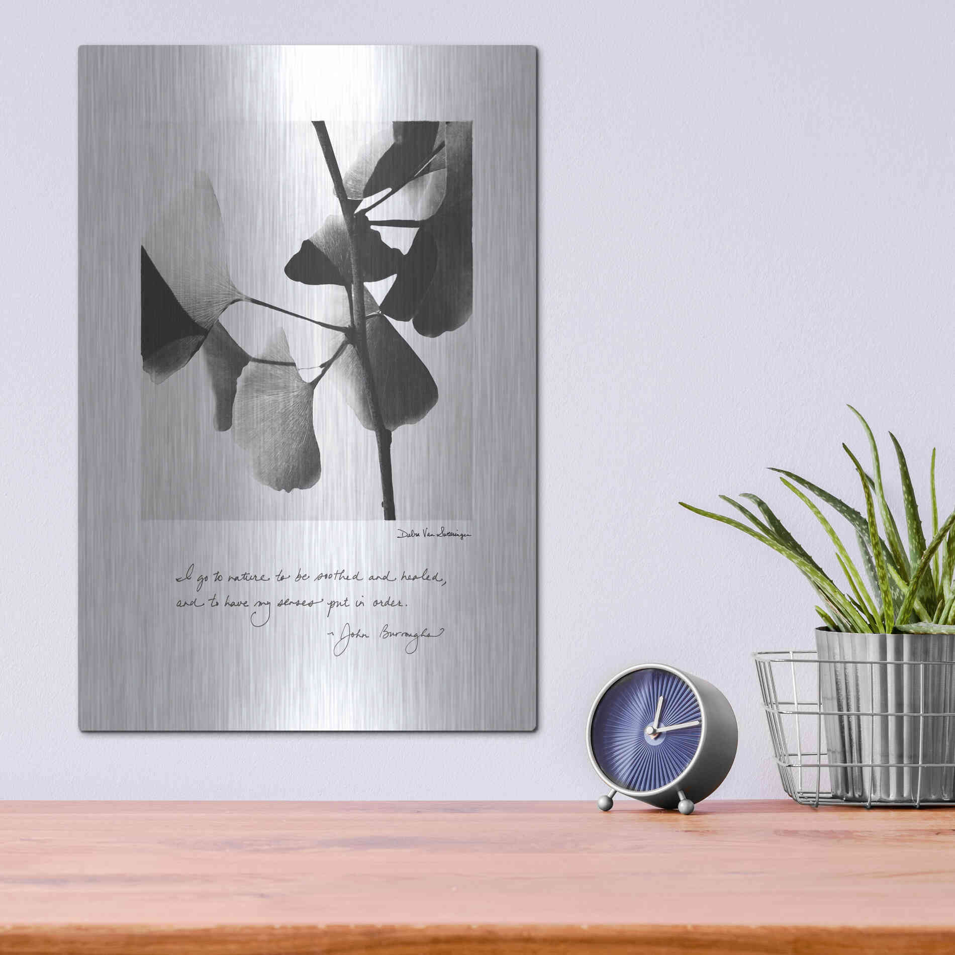 Luxe Metal Art 'Delicate Ginkgo v2' by Debra Van Swearingen, Metal Wall Art,12x16