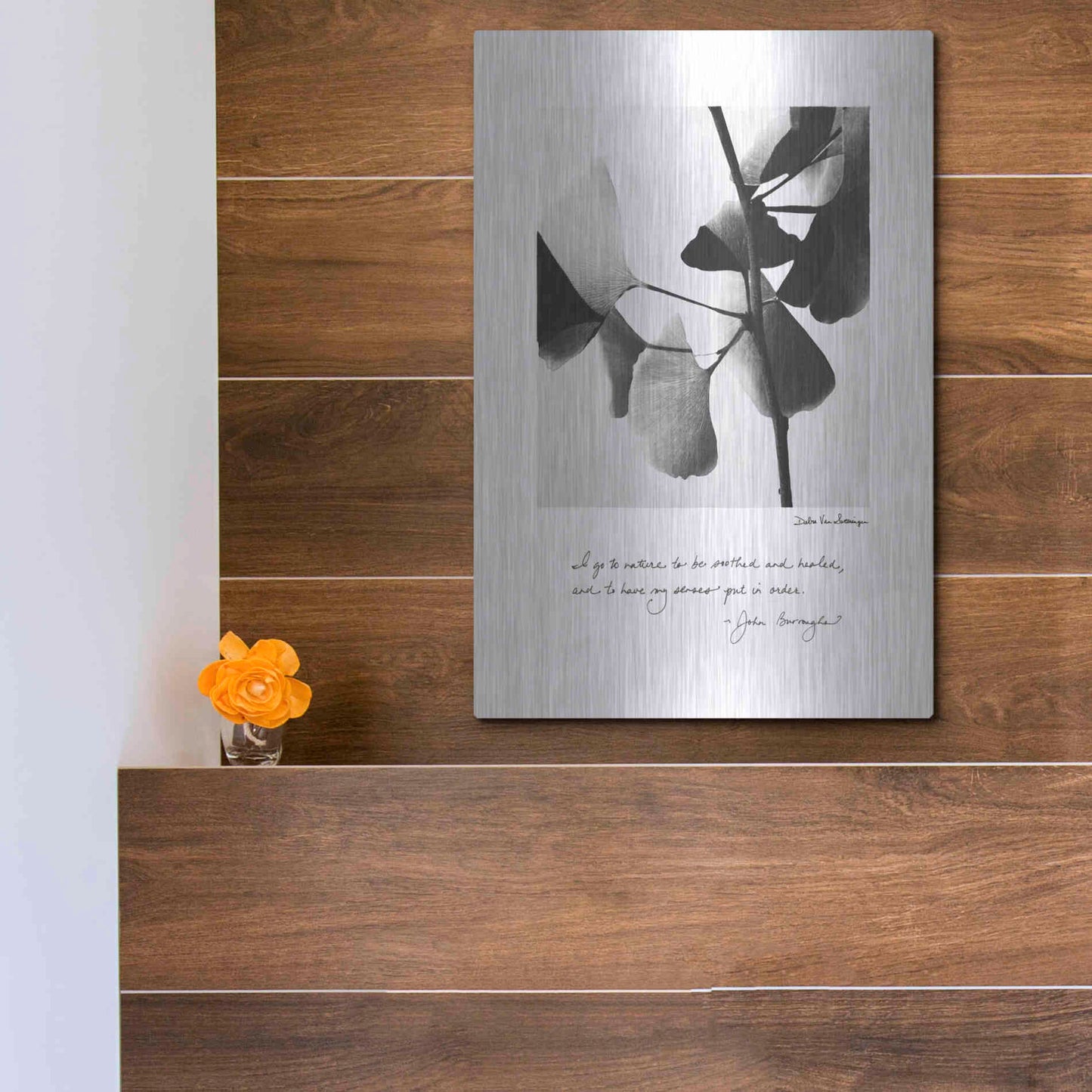 Luxe Metal Art 'Delicate Ginkgo v2' by Debra Van Swearingen, Metal Wall Art,12x16