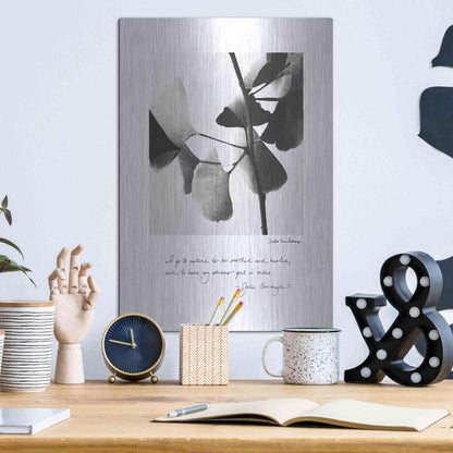 Luxe Metal Art 'Delicate Ginkgo v2' by Debra Van Swearingen, Metal Wall Art,12x16