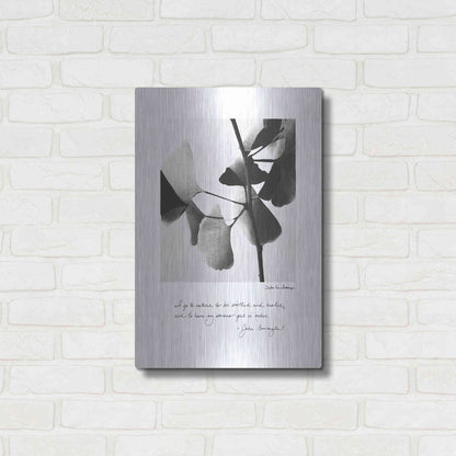 Luxe Metal Art 'Delicate Ginkgo v2' by Debra Van Swearingen, Metal Wall Art,16x24