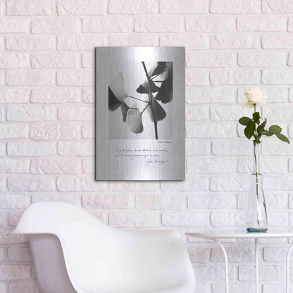 Luxe Metal Art 'Delicate Ginkgo v2' by Debra Van Swearingen, Metal Wall Art,16x24