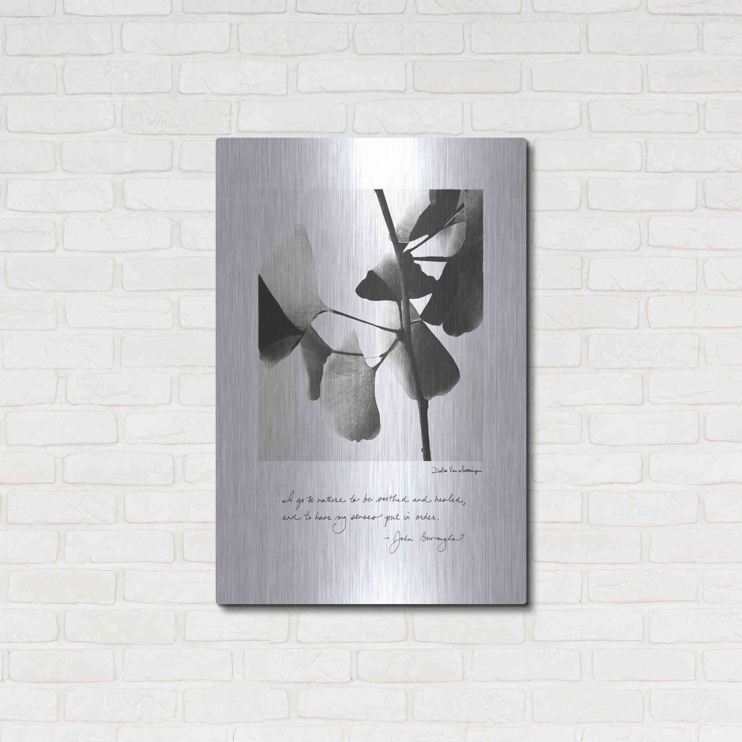 Luxe Metal Art 'Delicate Ginkgo v2' by Debra Van Swearingen, Metal Wall Art,24x36