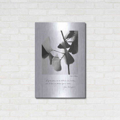 Luxe Metal Art 'Delicate Ginkgo v2' by Debra Van Swearingen, Metal Wall Art,24x36