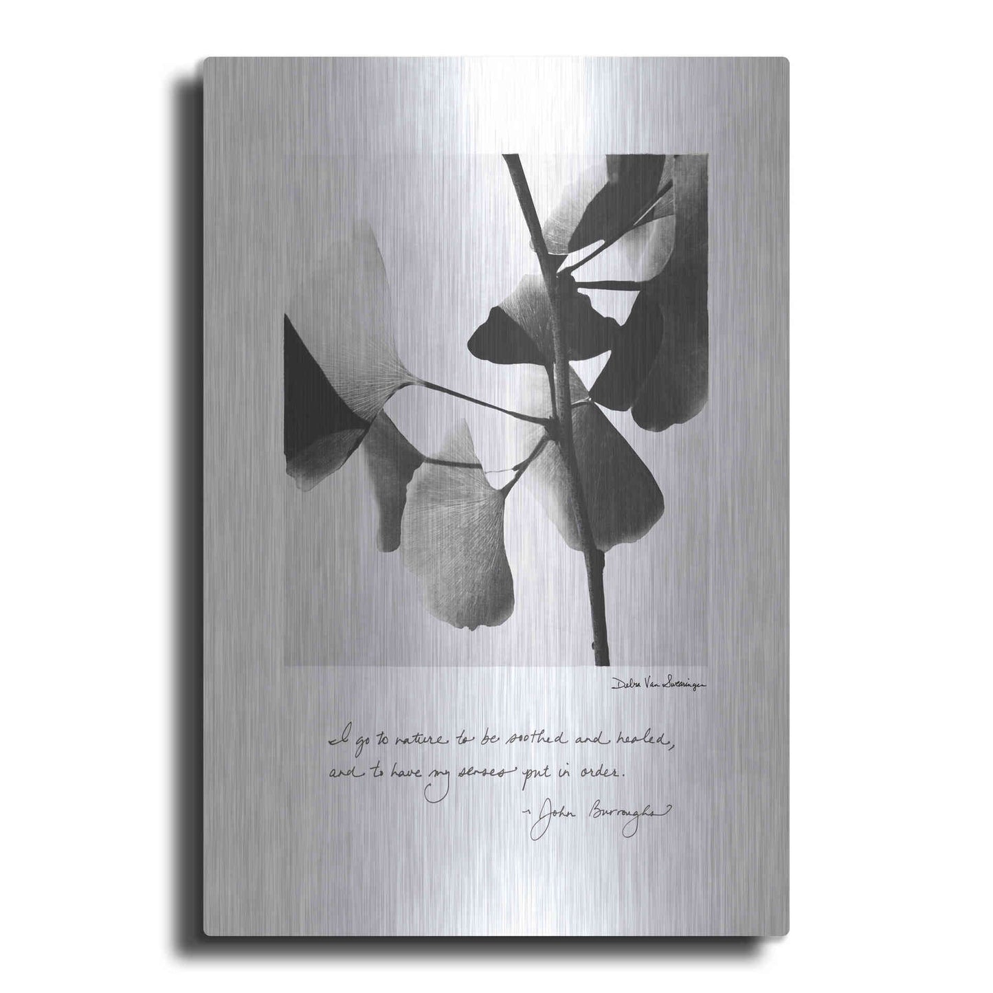Luxe Metal Art 'Delicate Ginkgo v2' by Debra Van Swearingen, Metal Wall Art