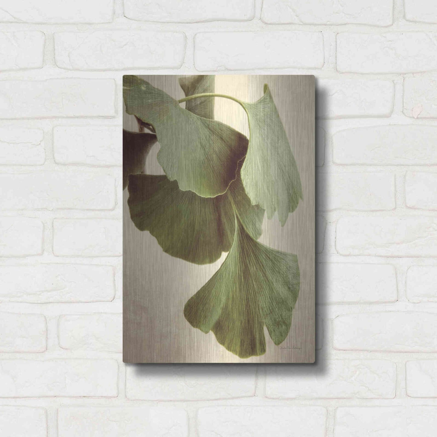 Luxe Metal Art 'Gingko Color' by Debra Van Swearingen, Metal Wall Art,12x16