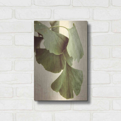 Luxe Metal Art 'Gingko Color' by Debra Van Swearingen, Metal Wall Art,12x16