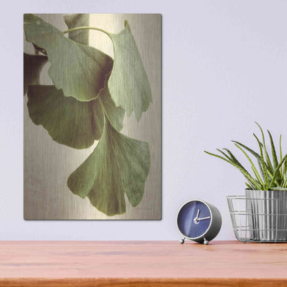 Luxe Metal Art 'Gingko Color' by Debra Van Swearingen, Metal Wall Art,12x16
