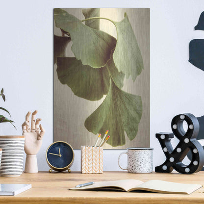 Luxe Metal Art 'Gingko Color' by Debra Van Swearingen, Metal Wall Art,12x16