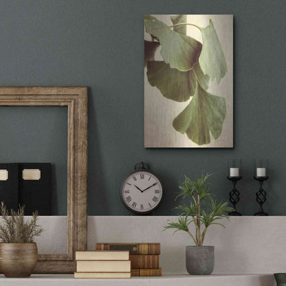 Luxe Metal Art 'Gingko Color' by Debra Van Swearingen, Metal Wall Art,12x16