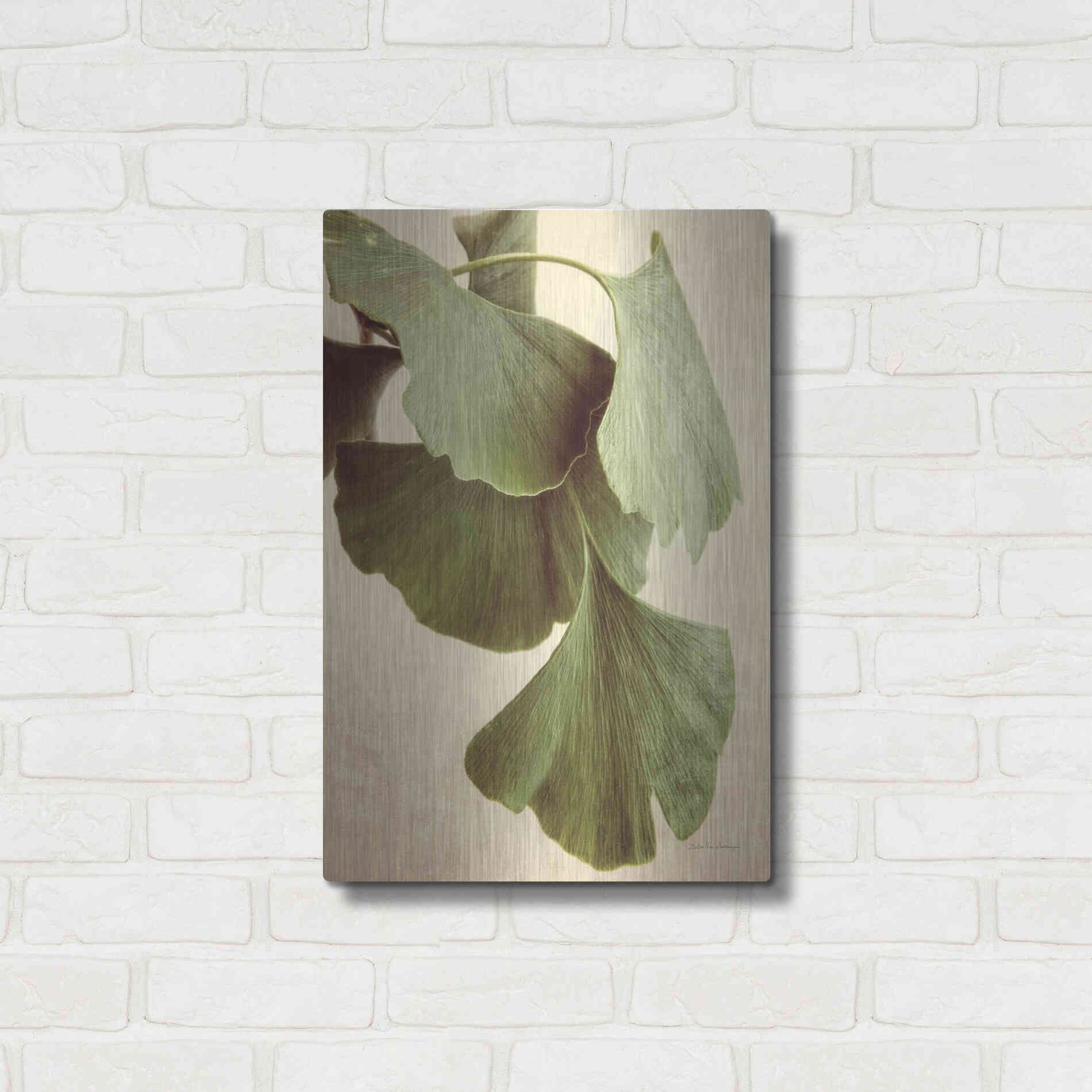 Luxe Metal Art 'Gingko Color' by Debra Van Swearingen, Metal Wall Art,16x24
