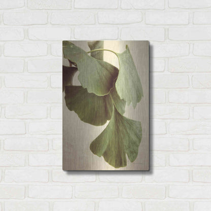 Luxe Metal Art 'Gingko Color' by Debra Van Swearingen, Metal Wall Art,16x24