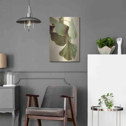 Luxe Metal Art 'Gingko Color' by Debra Van Swearingen, Metal Wall Art,16x24