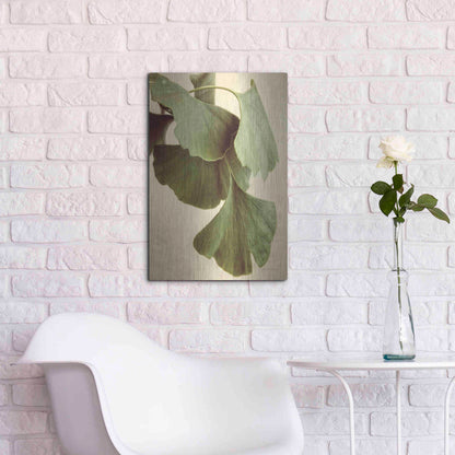 Luxe Metal Art 'Gingko Color' by Debra Van Swearingen, Metal Wall Art,16x24