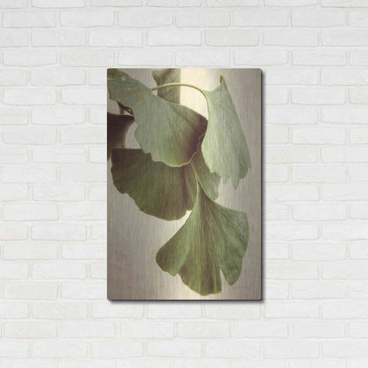 Luxe Metal Art 'Gingko Color' by Debra Van Swearingen, Metal Wall Art,24x36