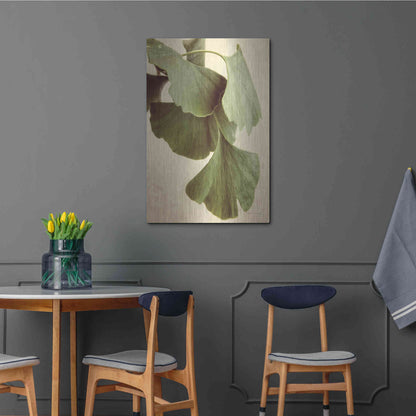 Luxe Metal Art 'Gingko Color' by Debra Van Swearingen, Metal Wall Art,24x36