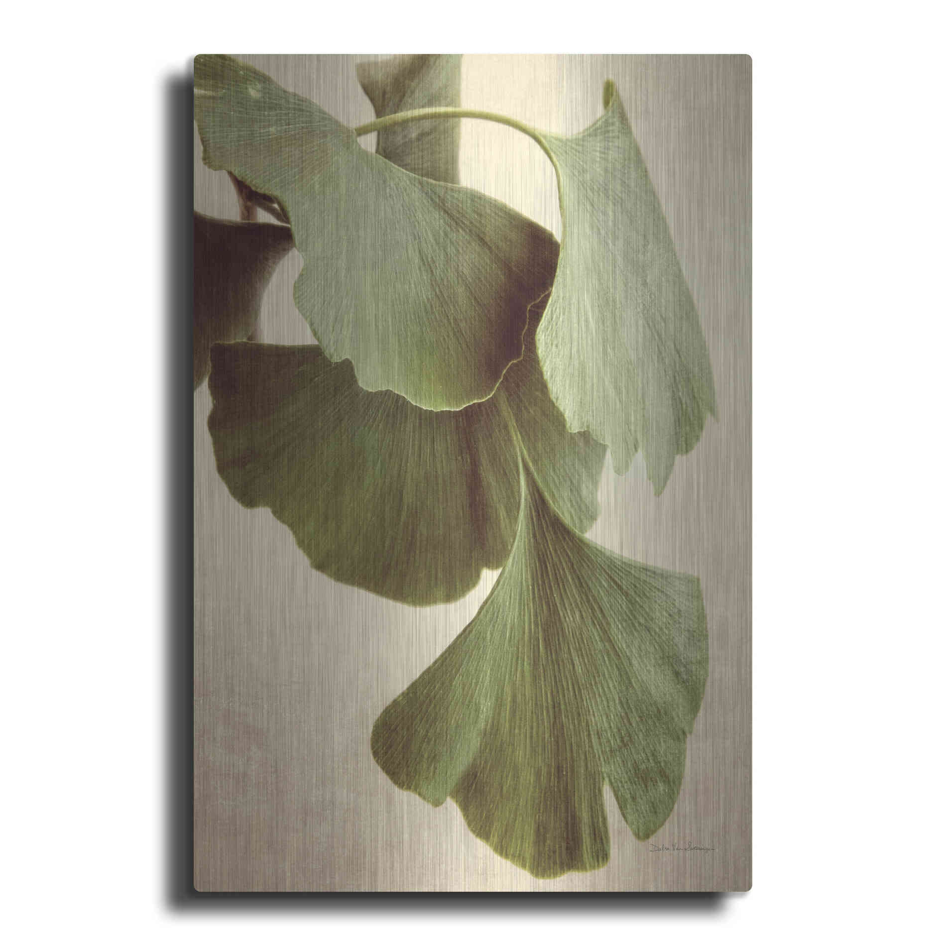 Luxe Metal Art 'Gingko Color' by Debra Van Swearingen, Metal Wall Art
